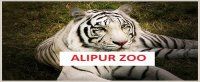 ALIPUR ZOO